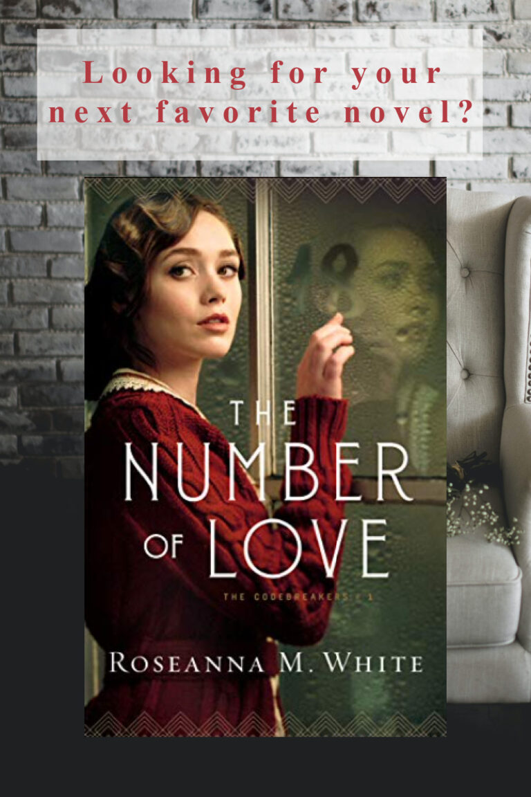 The Number of Love|Book Review - Amy Renaud